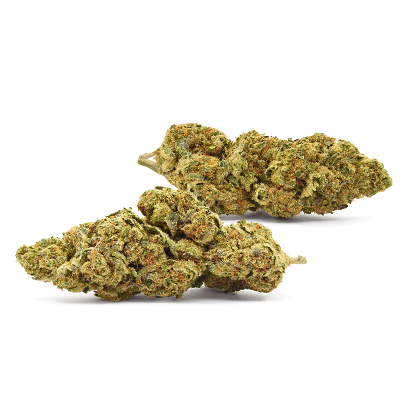 Gelato Float Cannabis Bud