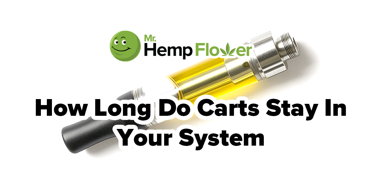 How Long Do Carts Last in Your System? THC Detection & Detox Tips