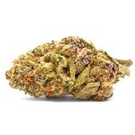Purple Punch Strain