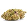 zkittlez strain