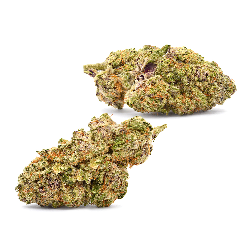 Zkittlez Strain