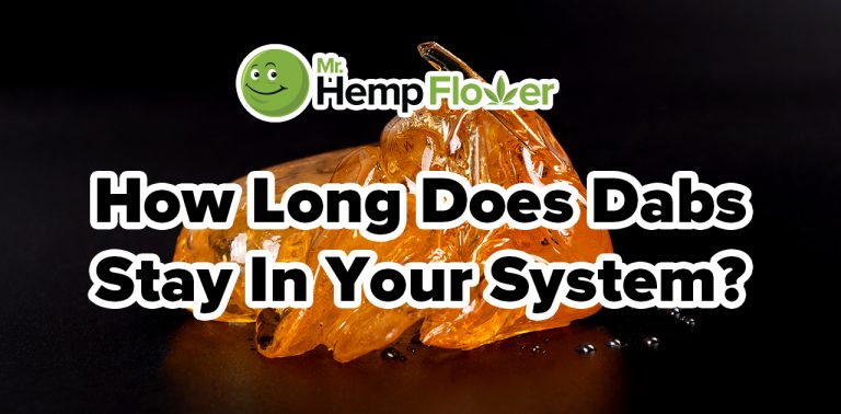 How Long Do Dabs Stay in Your System for a Drug Test?