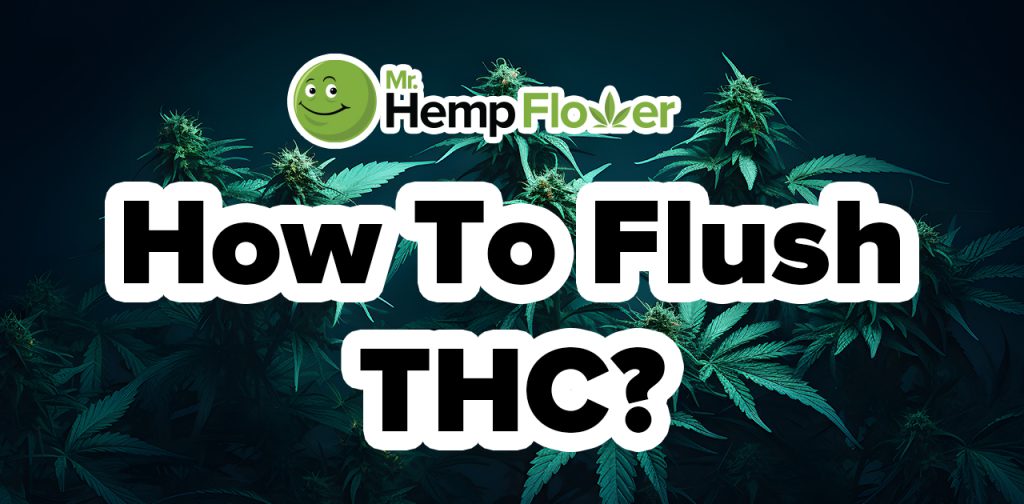 how to flush thc