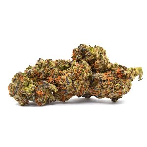 Government Oasis Strain