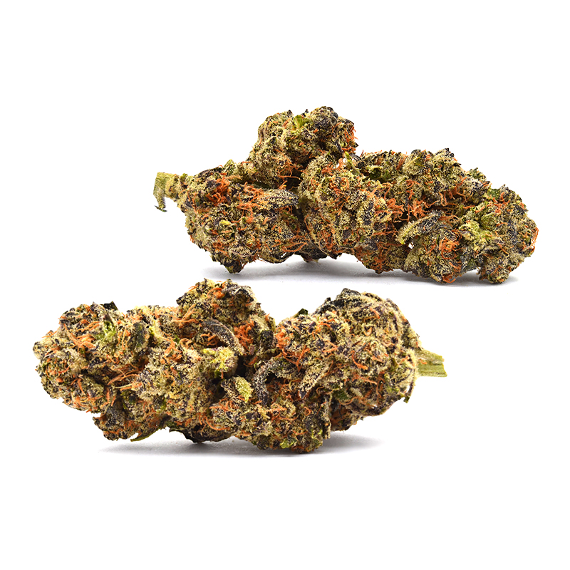 Government Oasis Strain Two Nugs