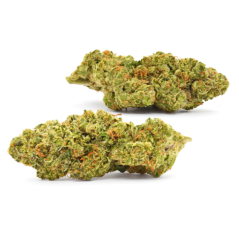 Super Jack Strain Two Nugs