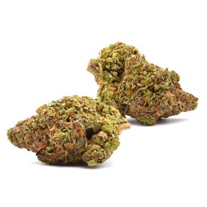 Lemon Hazel Strain Two Buds