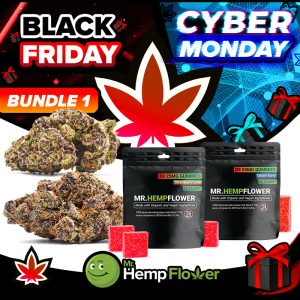 Black Friday Deals 1