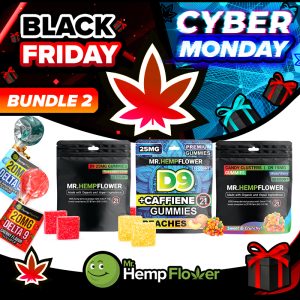 2025-bundle-2-1-bfcm