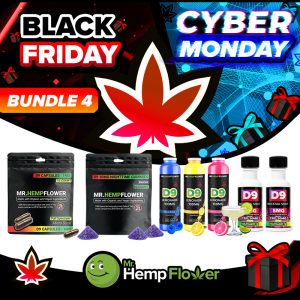 2025-bundle-4-2-bfcm