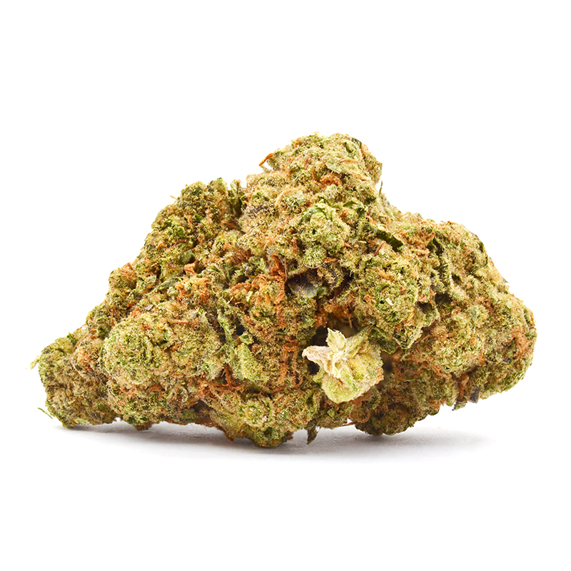 Magic Marker Strain Magic Marker Strain