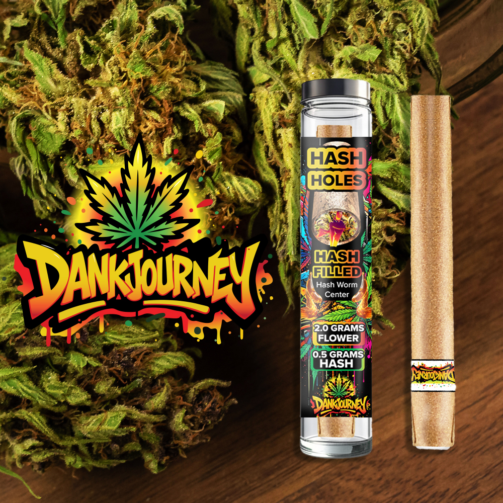 Pre-rolled THCA hash hole with donut burn ring