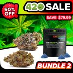 420-bundle-