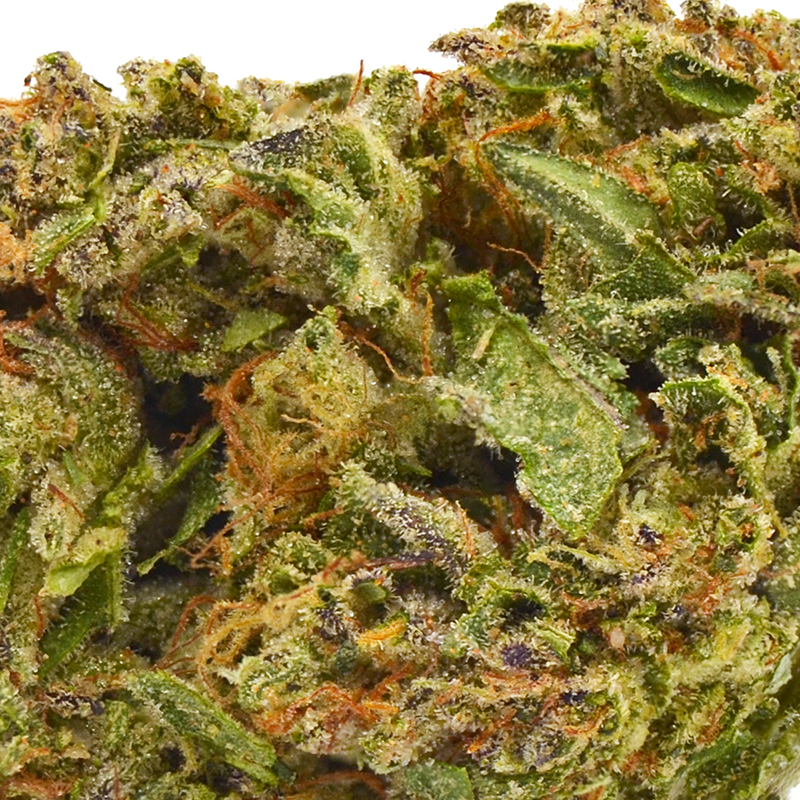 Tahoe OG up close