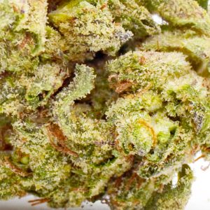 Gelato Cake up close